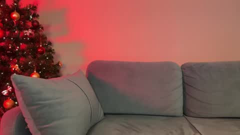 Snapshot of elisonnina chatting on 12.29.24 Nina online show from 12.29.24