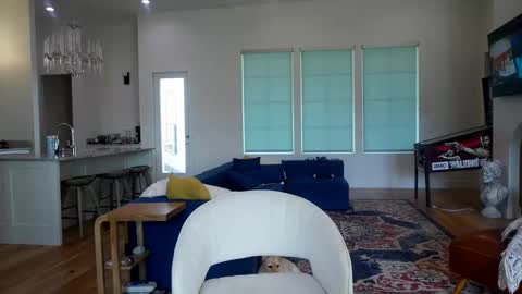 Liz online show from 11.13.25