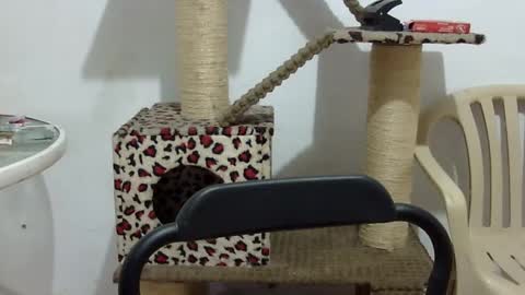 Elizabeth Martinez  online show from 09.16.25