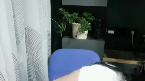 elizabeth_xi online show from 10.05.25