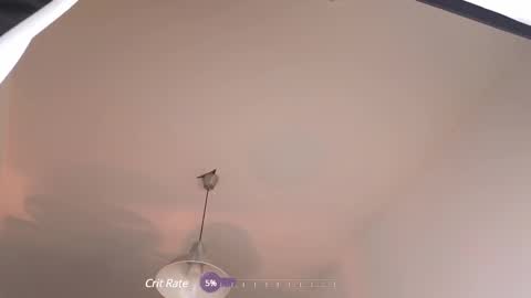 Snapshot of elliefrost chatting on 02.12.25 elliefrost online show from 02.12.25