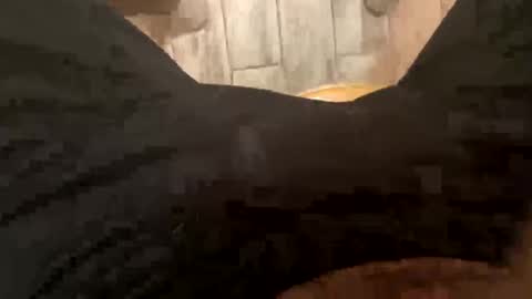 Snapshot of elparador chatting on 12.08.24 El Parador online show from 12.08.24