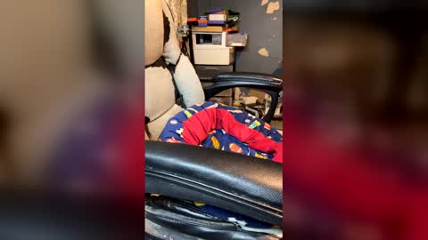 elvergg1 online show from 04.04.26