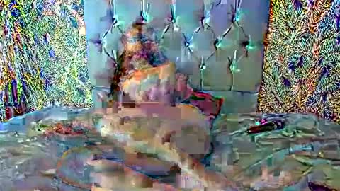 Emilia Gomez online show from 02.27.25