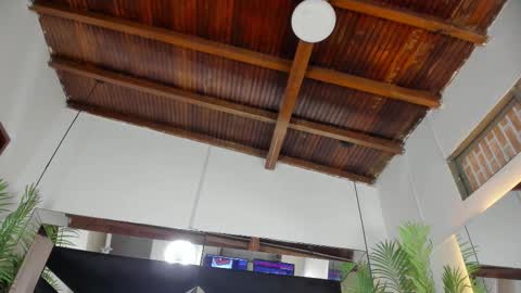 Emily  online show from 10.24.25