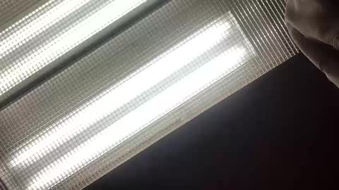 emilyclear online show from 05.14.26