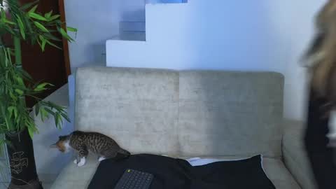 Emma Blue  modelo independiente online show from 10.28.25