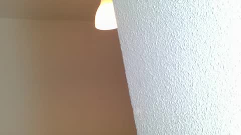 emmie online show from 01.28.25