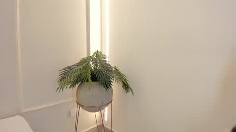 Emmiily online show from 01.19.25