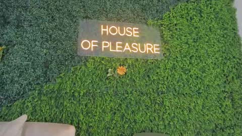 Emmiily online show from 02.22.25