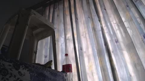 Eolicasextwo online show from 02.18.25