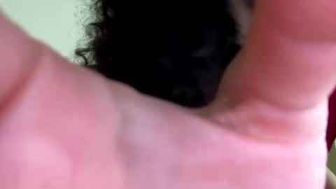 eulilah222 online show from 09.17.25