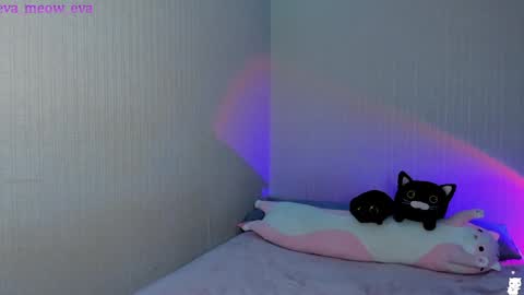 Snapshot of eva_meow_eva chatting on 12.21.24 eva_meow_eva online show from 12.21.24