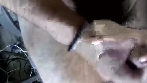 Snapshot of eveline_figeroa3 chatting on 06.26.26 eveline_figeroa3 online show from 06.26.26