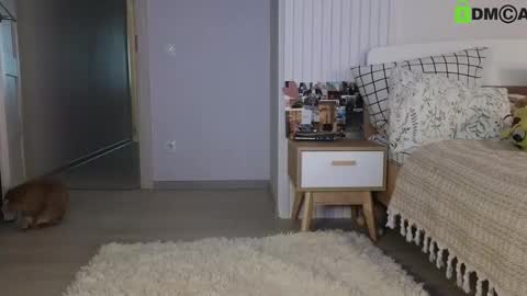 Snapshot of evi_woow chatting on 02.22.25 evi_woow online show from 02.22.25