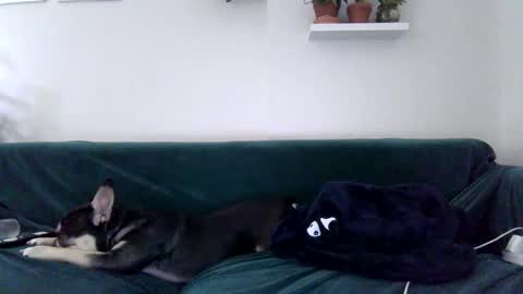 Snapshot of evillers1 chatting on 10.27.25 Badblondebunny online show from 10.27.25