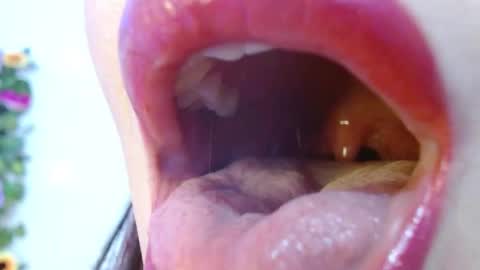 Evoleth online show from 12.15.24