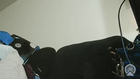 Exoticlexxii online show from 02.14.26