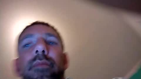 experttreecompany online show from 02.03.26