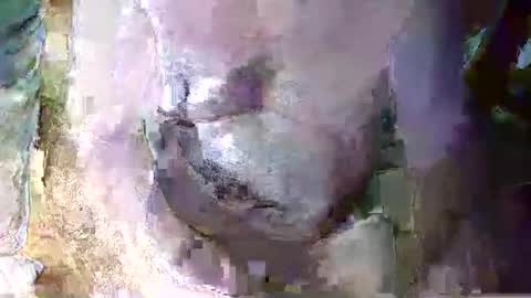 expogent online show from 04.10.26