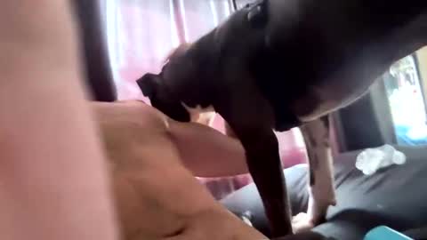 MichazaXO online show from 10.10.25