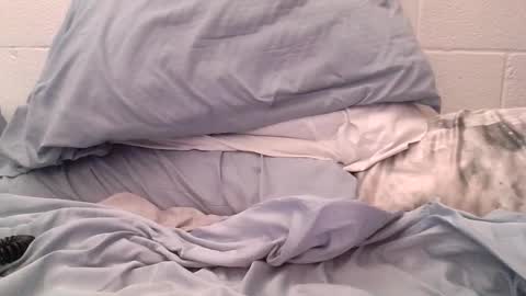 ez37going88 online show from 04.21.26