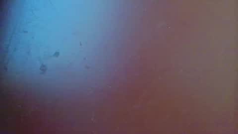 fabi online show from 02.19.25