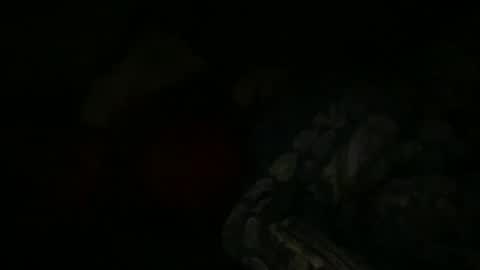 FABX online show from 01.06.25