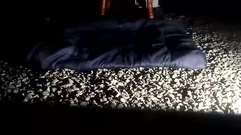 fallguyb1875150 online show from 10.06.25