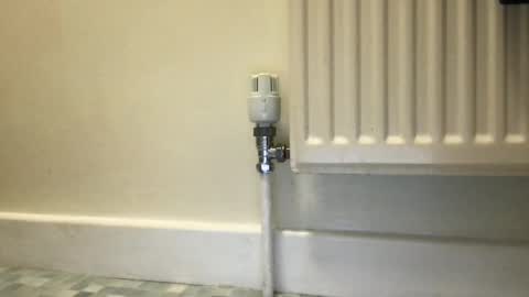 Alex online show from 12.03.24