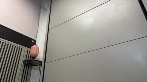 Snapshot of faseremx chatting on 12.13.24 Gattino online show from 12.13.24