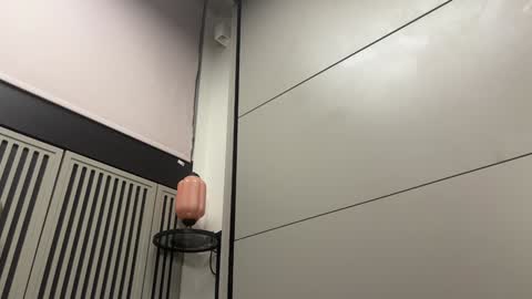 Snapshot of faseremx chatting on 12.20.24 Gattino online show from 12.20.24