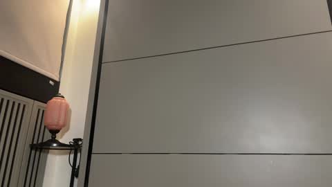 Snapshot of faseremx chatting on 03.08.25 Gattino online show from 03.08.25