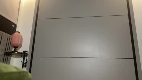 Snapshot of faseremx chatting on 03.11.25 Gattino online show from 03.11.25