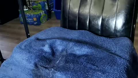 Snapshot of fat_fabulous1981 chatting on 02.01.25 Sarah online show from 02.01.25