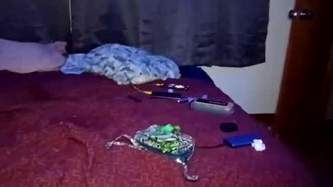 feetandmeat420 online show from 10.29.25