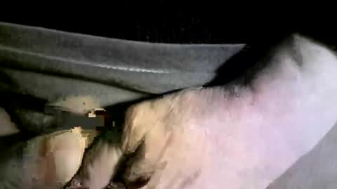 Snapshot of felicaste chatting on 02.17.25 felicaste online show from 02.17.25