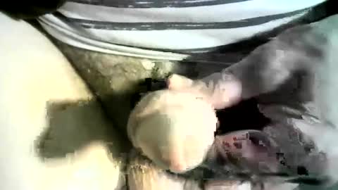 Snapshot of felicaste chatting on 03.08.25 felicaste online show from 03.08.25