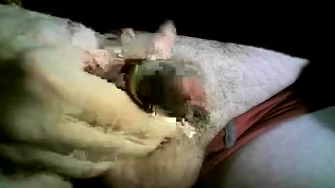 Snapshot of felicaste chatting on 11.26.25 felicaste online show from 11.26.25