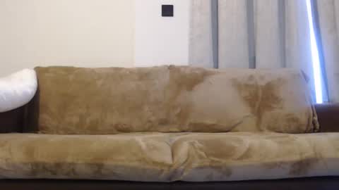 FelineChic online show from 01.10.25