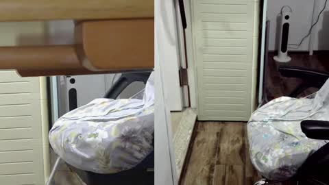 felixlau online show from 01.26.25