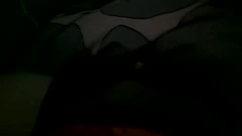 Snapshot of felixske chatting on 11.01.25 felixske online show from 11.01.25