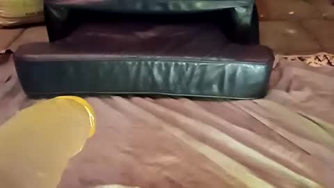 Snapshot of femboy710cum chatting on 12.21.24 femboy710cum online show from 12.21.24