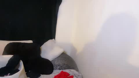 this is justice tricia a bigelow. she was fucking my husband tom girardi online show from 11.02.25