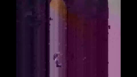 feog197475512 online show from 11.03.25