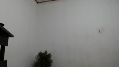 fernandez_latinblack online show from 12.02.24