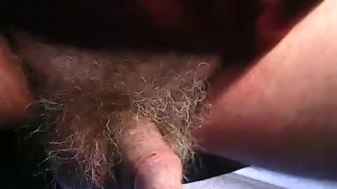 fh1963 online show from 02.20.26