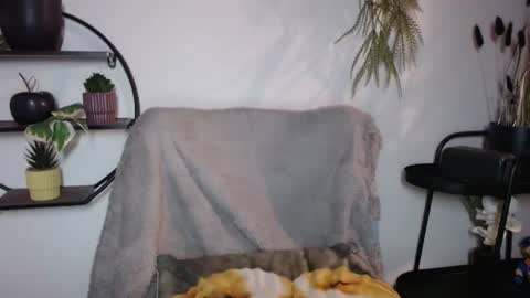 Snapshot of fitness1989 chatting on 07.20.26 fitness1989 online show from 07.20.26