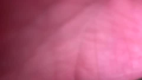 Snapshot of fittallhungdilf chatting on 12.20.24 fittallhungdilf online show from 12.20.24