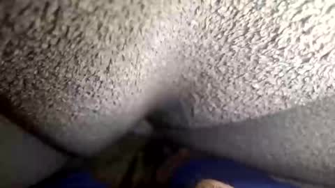 flaash_99 online show from 03.02.26